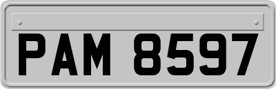 PAM8597