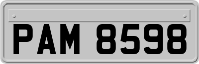 PAM8598