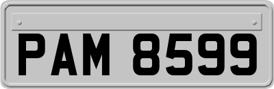 PAM8599