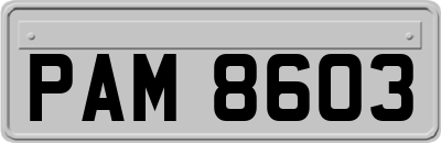 PAM8603