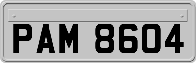 PAM8604