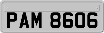 PAM8606