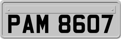 PAM8607