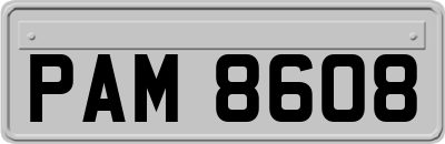PAM8608