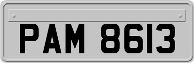 PAM8613