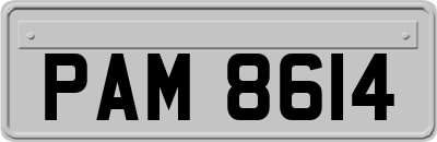 PAM8614