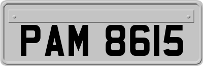 PAM8615