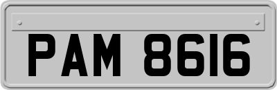 PAM8616