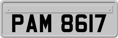 PAM8617