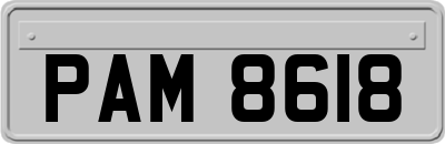 PAM8618