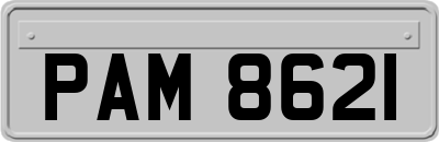 PAM8621