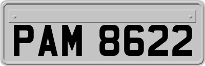 PAM8622