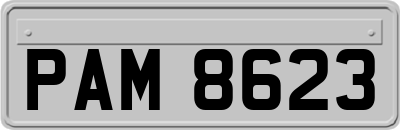 PAM8623