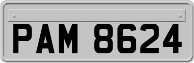 PAM8624