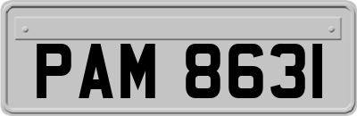 PAM8631