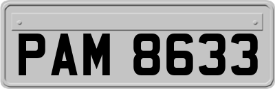 PAM8633