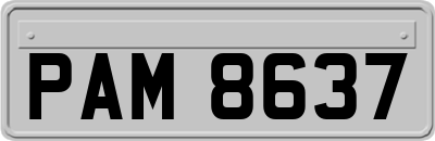 PAM8637
