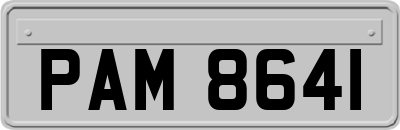 PAM8641