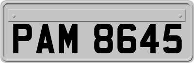 PAM8645