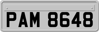 PAM8648