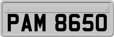 PAM8650