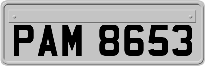 PAM8653