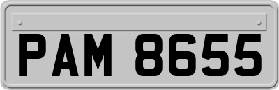 PAM8655