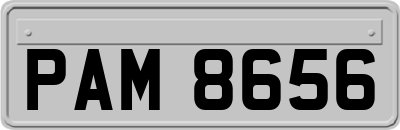 PAM8656