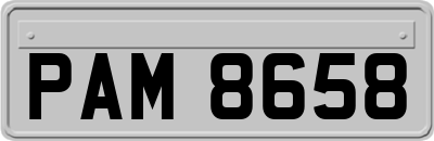 PAM8658