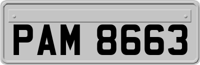 PAM8663