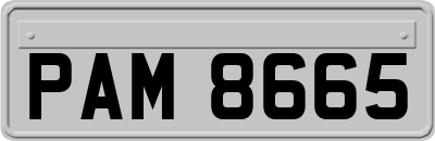 PAM8665