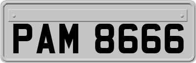 PAM8666