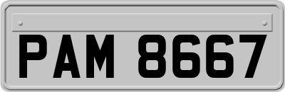 PAM8667