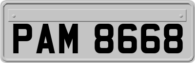 PAM8668