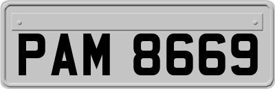 PAM8669