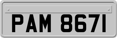 PAM8671