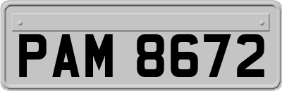 PAM8672