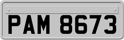 PAM8673