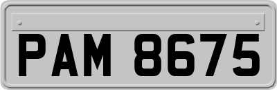 PAM8675