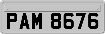 PAM8676