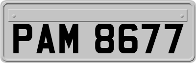 PAM8677