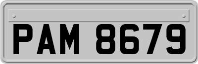 PAM8679