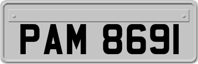 PAM8691