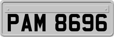 PAM8696