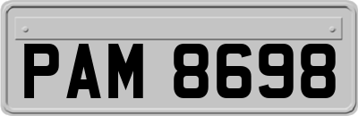 PAM8698