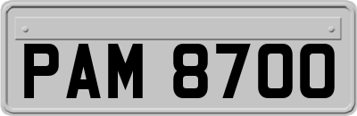 PAM8700