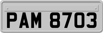 PAM8703