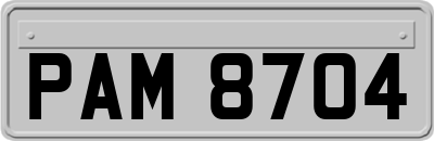PAM8704