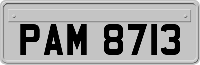 PAM8713
