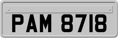PAM8718